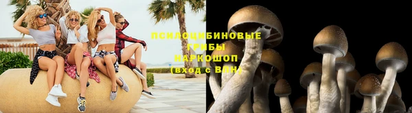 мет Снежногорск