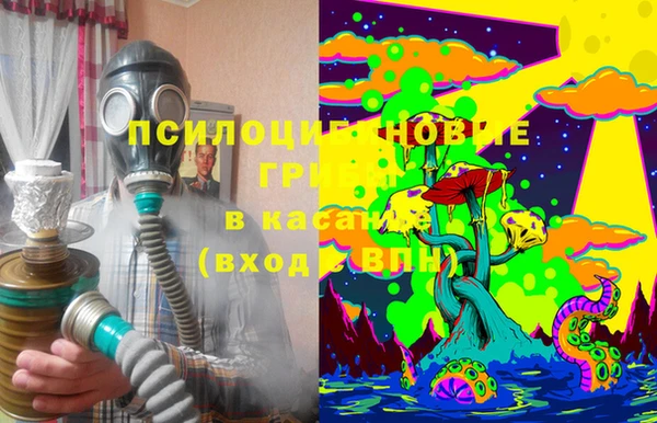 бошки Снежинск