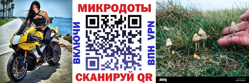 Купить где  Ликино-Дулёво  Псилоцибиновые грибы Magic Shrooms 